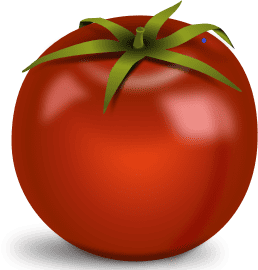 nutrition-rich tomato