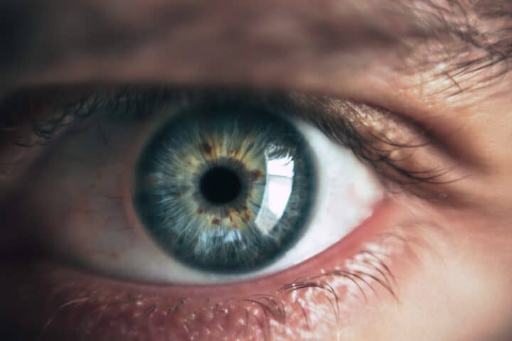 One human multicolored eye