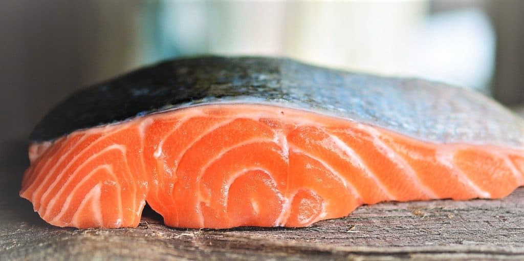 raw salmon fillet