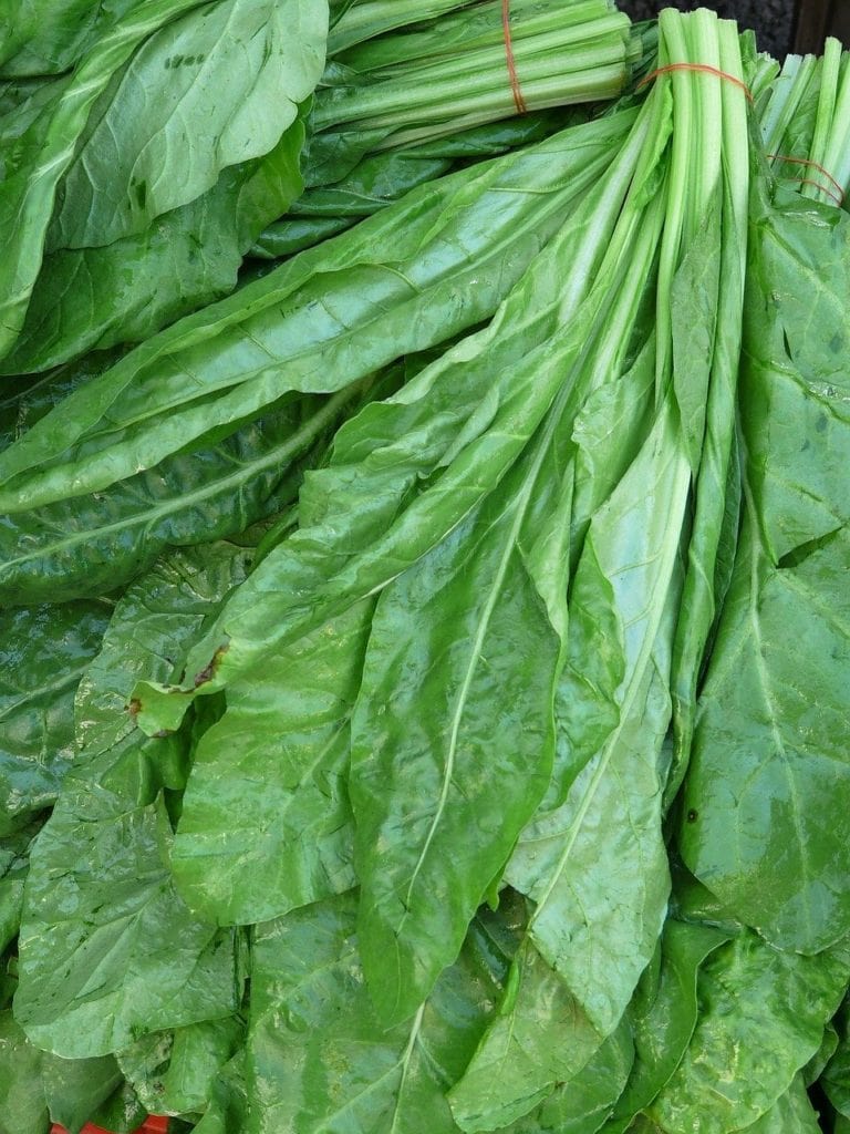 bunch of raw green spinach