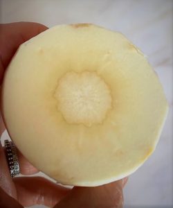 cross section of parsnip