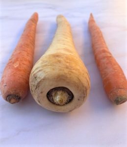 big white parsnip in between two small carrots