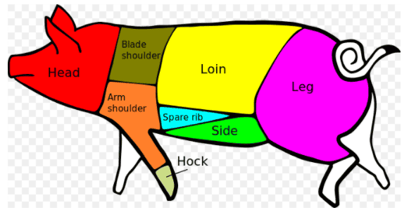 colorful illustration of cuts of meat from a pig