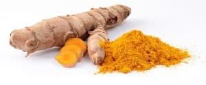 Turmeric roots with the powdered bright golden spice.