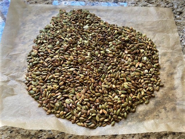 Roasted pumpkin seeds cooling on parchment