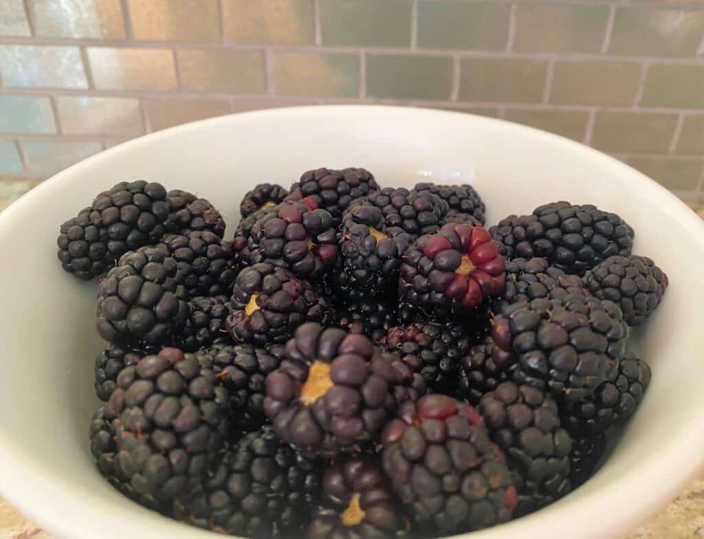 Close-up of blackberries in white bowl