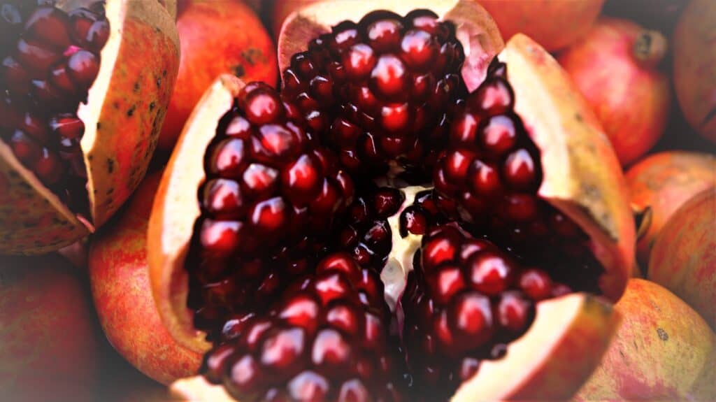 Close-up of pomegranate