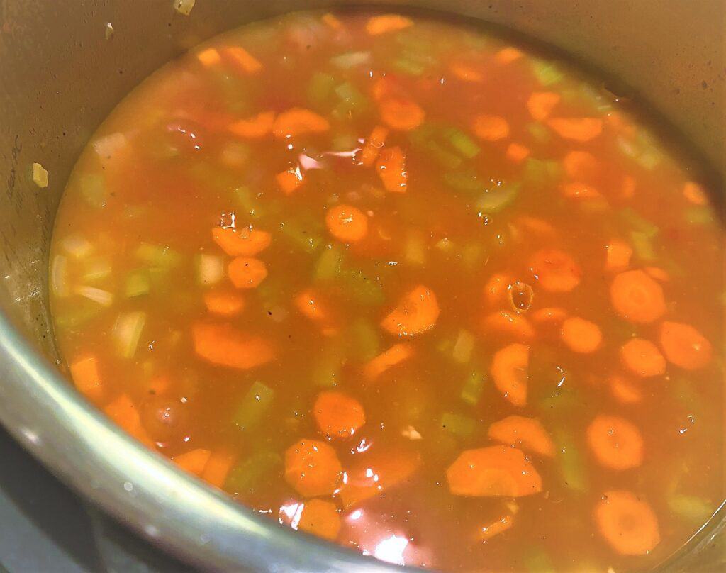 Minestrone di Verdure with broth added to Instant Pot