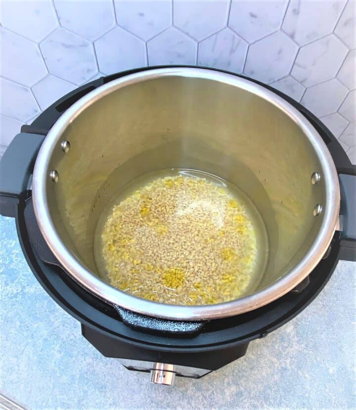 Instant Pot liner with water covering barley and salt; oil floating on top