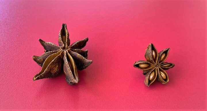 Two star anise pods, large and small on red background