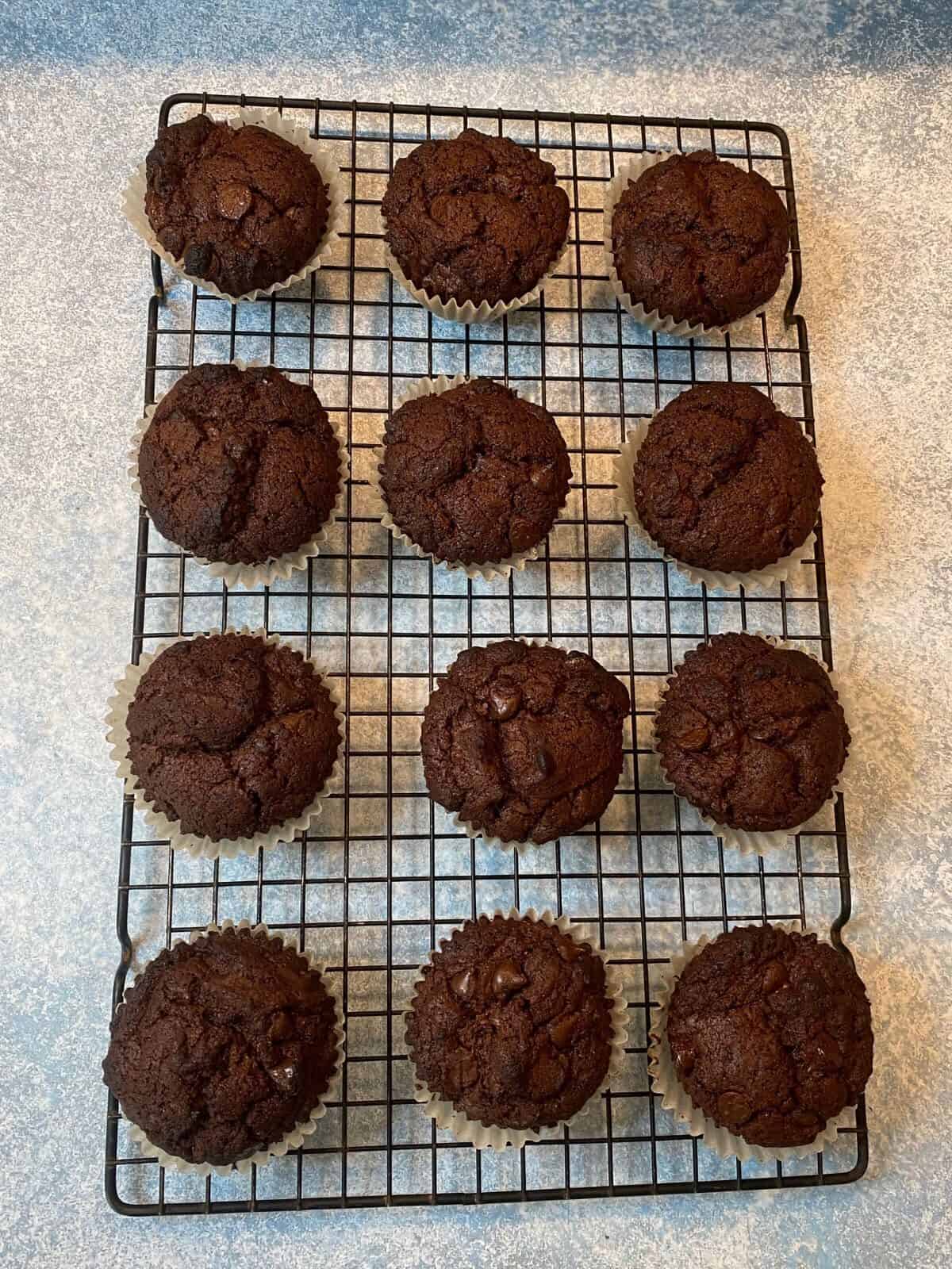 A dozen brown muffins cooling on a rack set on a blue mottled countertop