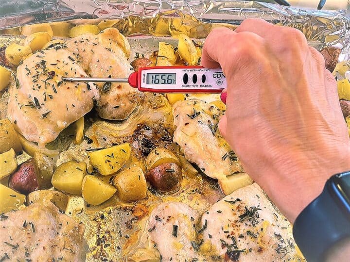 Testing temperature of cooked chicken thigh with instant read thermometer