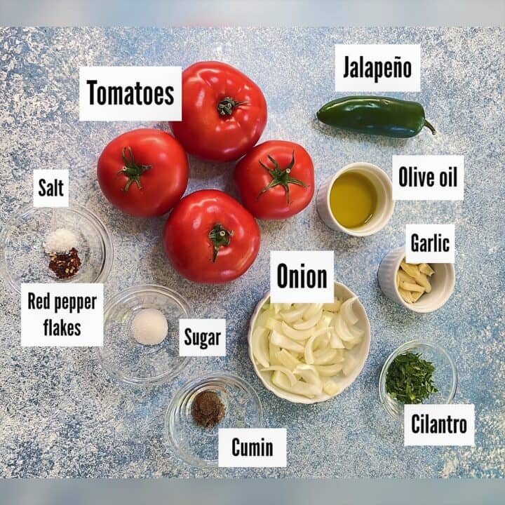 Large whole tomatoes, jalapeno, onion, peeled garlic, and seasonings wit labels on mottled blue-gray background