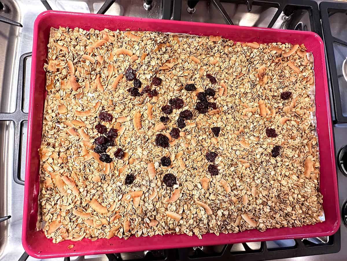 Granola with Chia Seeds (and cherries) Food Hall by Jani