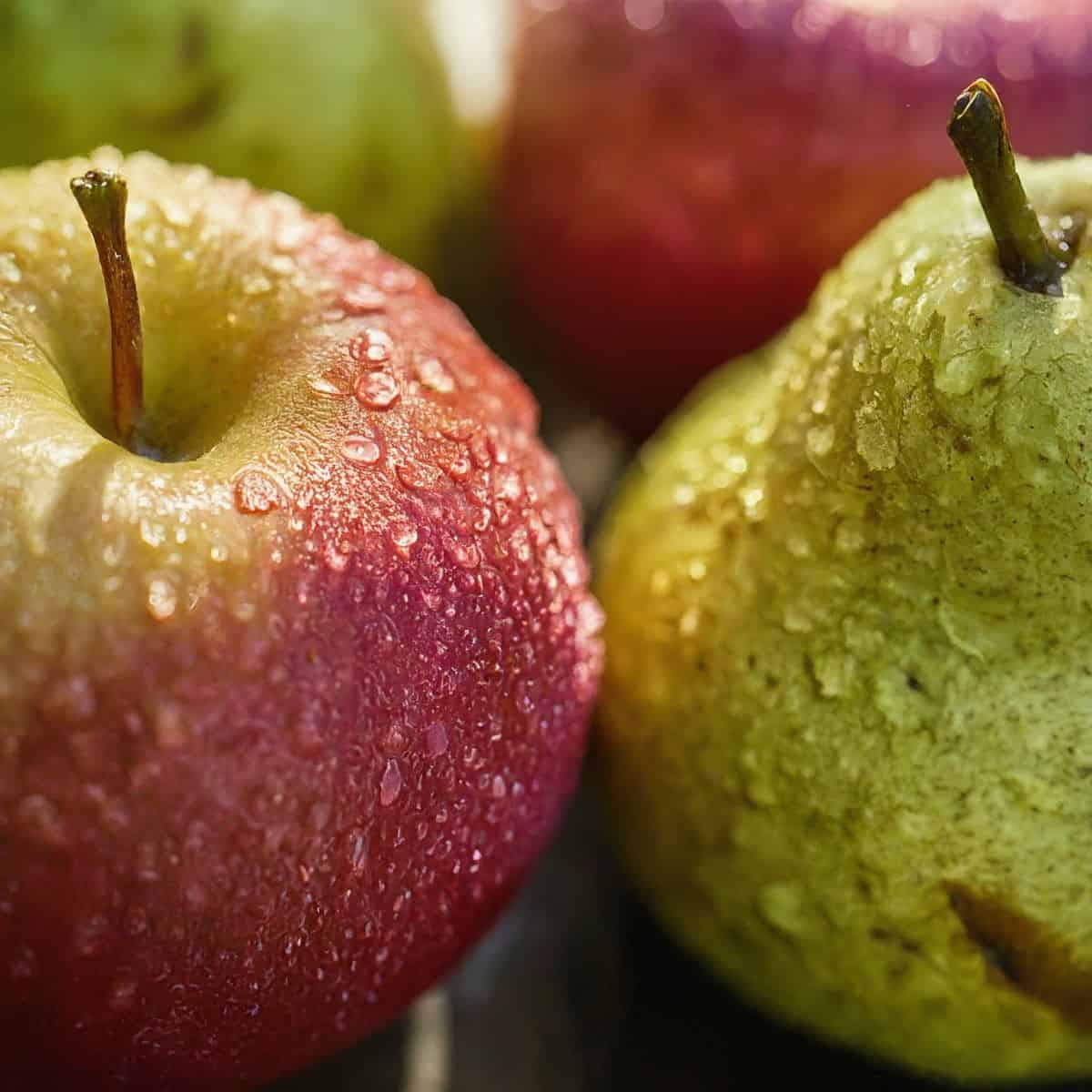 Fall Fruit Recipes Apples and Pears Food Hall by Jani