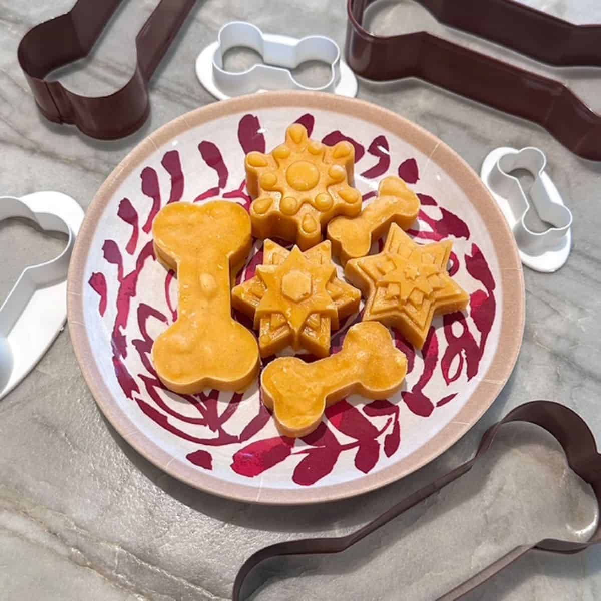 Frozen Pumpkin Dog Treats