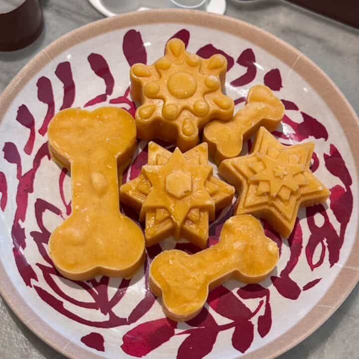 Closeup of bone and snowflake-shaped pumpkin frozen dog treats on a red and white plate.
