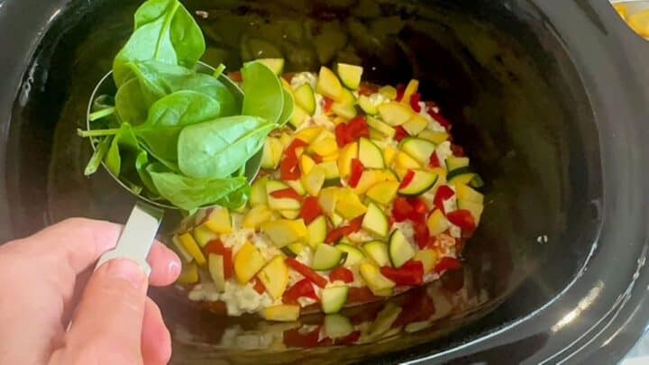 Building a Vegetable Slow Cook Lasagna with a layer of green zucchini and yellow squash slices topped with green fresh baby spinach.