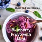 Dipping a spoon into a round white ramekin full of purplish blueberry froyo scoops with chopped brown pecans and green mint.