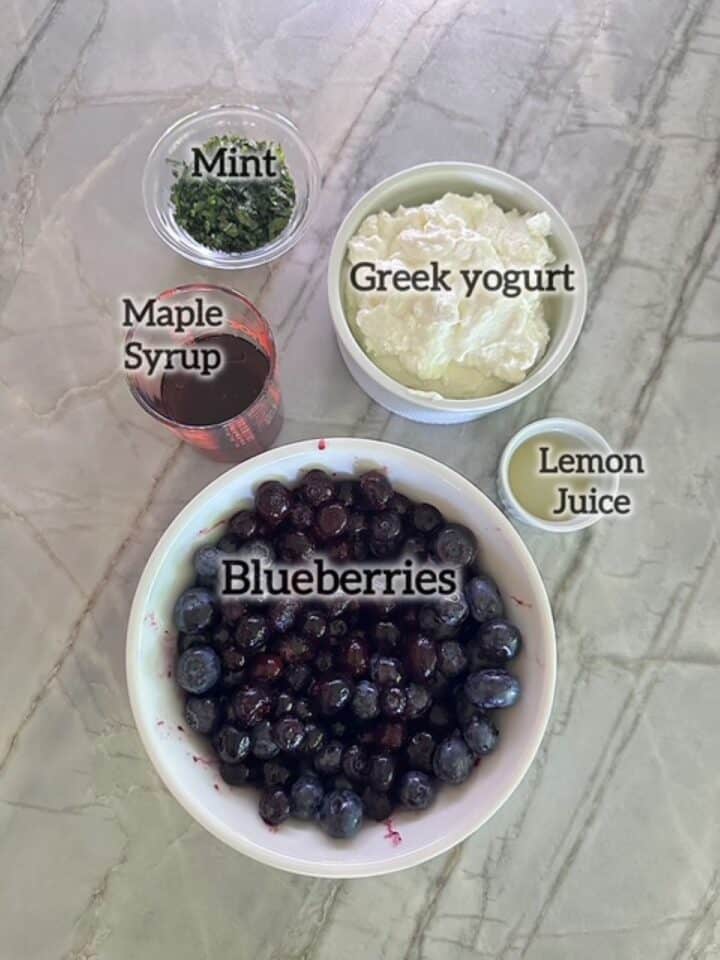Froyo ingredients: Blueberries in white bowl, white Greek yogurt, lemon juice, bronw syrup, green chopped mint.