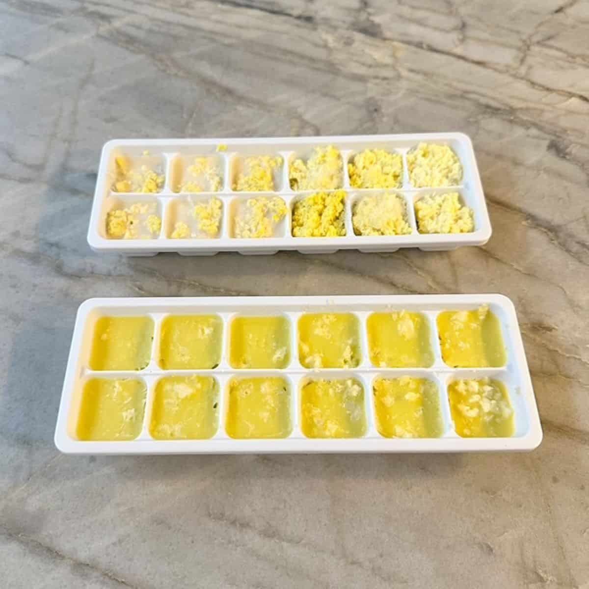 Garlic and Ginger Flavor Cubes/Bombs