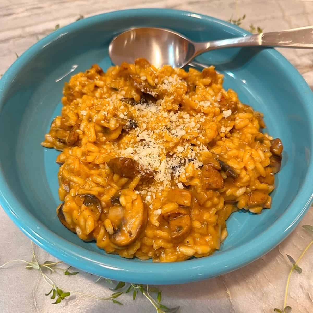 Mushroom and pumpkin risotto