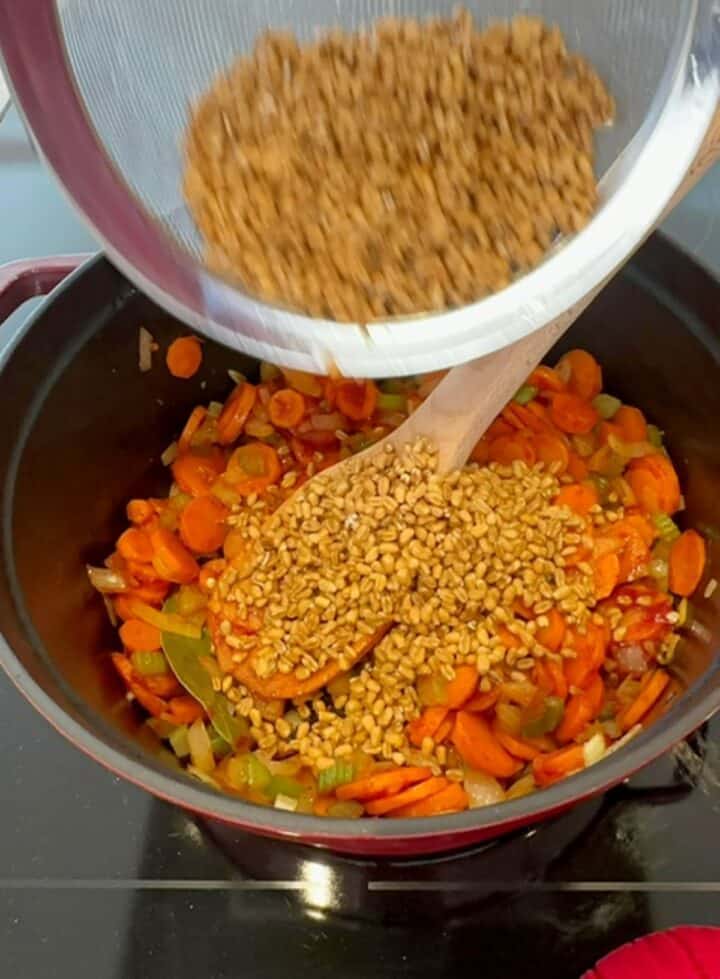 Brown rinsed farro grains are poured from a strainer into a red cocotte with sauteed carrot-celery-onion and tomato paste mixture to make farro soup.