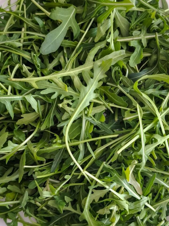 Spiky, dark green arugula leaves.