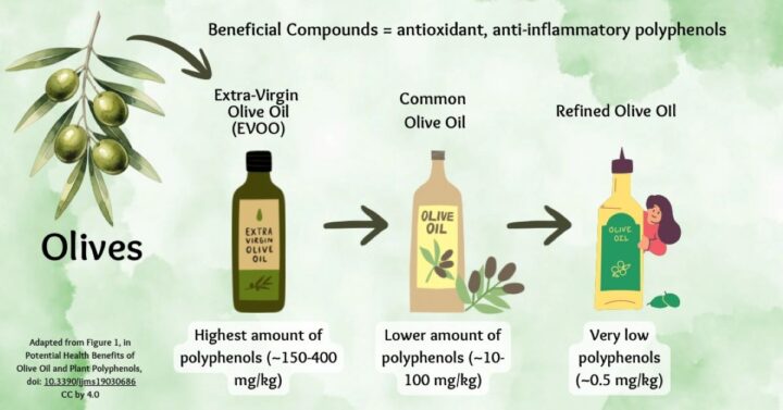 Greenish graphic with olive oil bottles showing extra-virgin olive oil having high polyphenols.